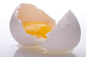 پروتئین زرده بیشتر است یا سفیده، زرده تخمه مرغ بدنسازی